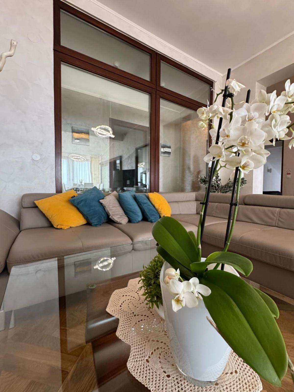 Villa Adriatic, Apartment Enio With Swimming Pool, Panoramic Sew View, Free Parking อิตชิชี ภายนอก รูปภาพ